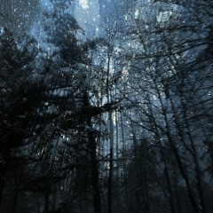 The Christmas Of The Seven Stars