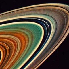 CapeTown'sWildFish - Saturn Rings 2020
