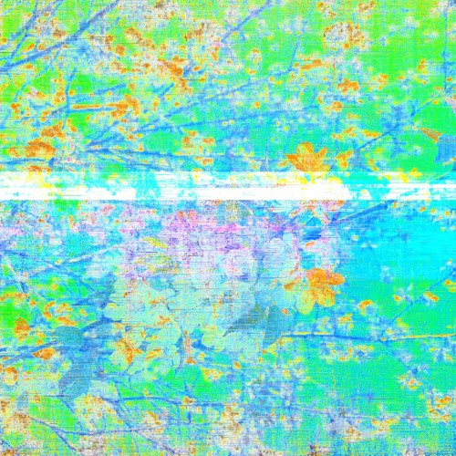 SHISHAMO - 生まれるということ (HYKARVS Flip)