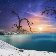 Dry Trees, instrumental rock*