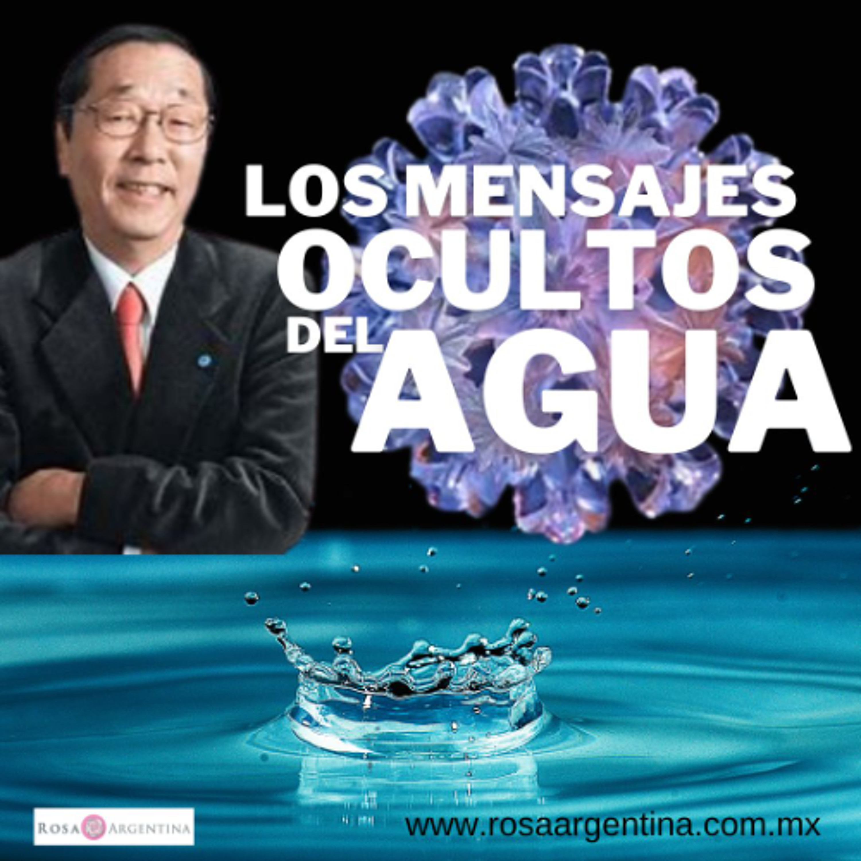 LOS MENSAJES OCULTOS DEL AGUA