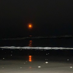 ID-Atlas In Motion Cover