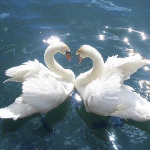 It’s All Saved On The Cloud