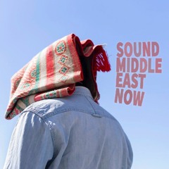 Middle East Now - Podcast#025 Nov2020
