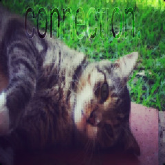 connection. lyrics in desc {prod.boxxy}