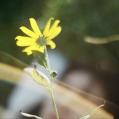 Re-Birth ID (BE IDENTITY) - Kim Han Bin