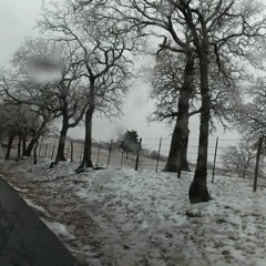 A Book On Fire (Is A Book You Cant Pick Up Again)