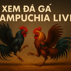 Xem Đá Gà Campuchia Live Miễn Phí – Trực Tiếp Từ “Thánh Địa” Thomo Uy Tín Cùng Ga6789