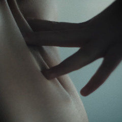 A Beautiful, Delicate, Little Flower