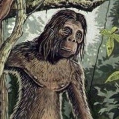 Orang Pendek is a junglist