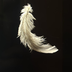 Featherweight