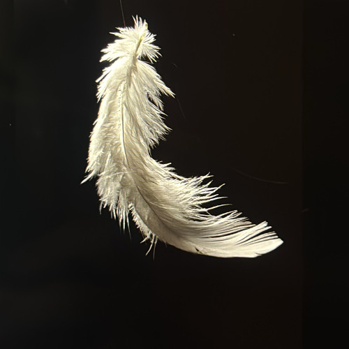 Featherweight