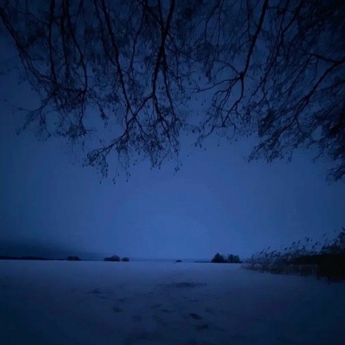 Poison Tree - Grouper x corecore (slowed)