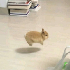 ветер + yuilfff (p/ seba.kyu)