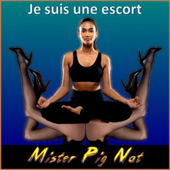 Je suis une escort