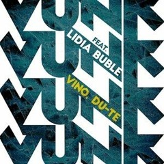 VUNK Feat. Lidia Buble - Vino, Du - Te (Christian Matthieu Edit)