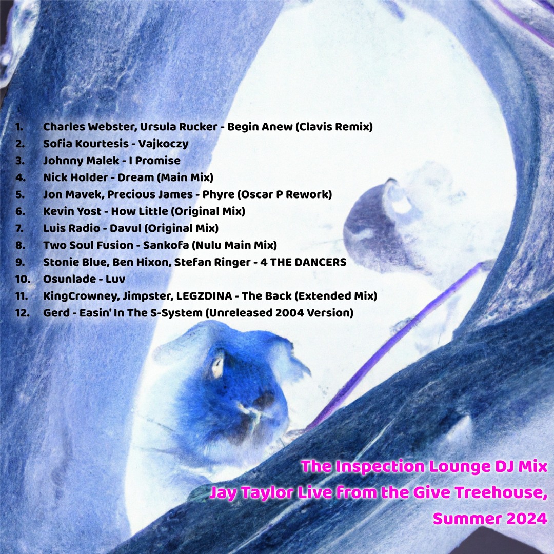 Stream The Inspection Lounge Mix At The Give Treehouse Summer 2024 by ...