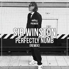 PREMIERE: Sir Winston - Perfectly Numb (Remix) [Playup]