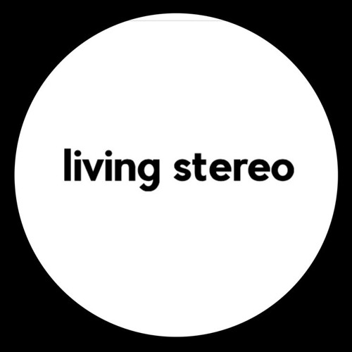 Living Stereo - Mute Mar del plata 2024