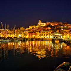 DVM -  dalt vila's nights