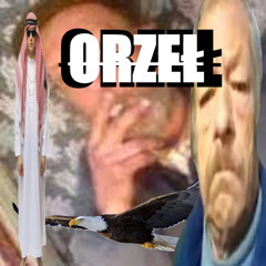 Orzeł