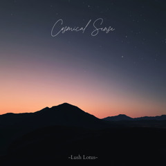 Cosmical Sense