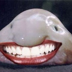 IZU 2024 - 12 - 15 14h18m09