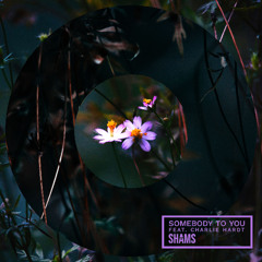 Somebody to You (feat. Charlie Hardt)