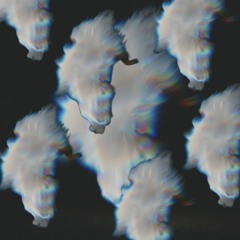ghost w. blank
