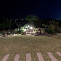 In The Dead Of Night