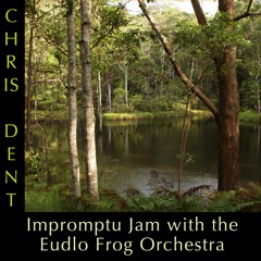 Impromptu Jam With The Eudlo Frog Orchestra