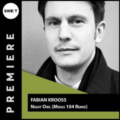 PREMIERE : Fabian Krooss - Night Owl (Midas 104 Remix) [Stil Vor Talent]