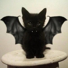 Manekthbch ki mnaarfsh.