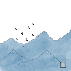 birds n sorrow (birds pt1)