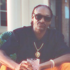 Back Up (Snoop Dogg acapella)