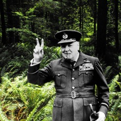 A soldier of peace (vibration 1/2)