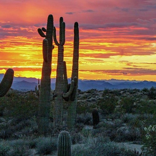 A Ella Le Gusta Picante