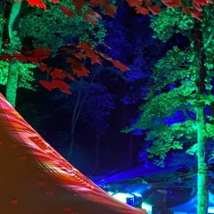 Re:Turn To Pangea - June 12, 2021 - Gv3 - TannerJam