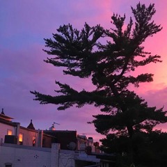 Towards Joy & Transformation | Sukkot & Simchat Torah 5781