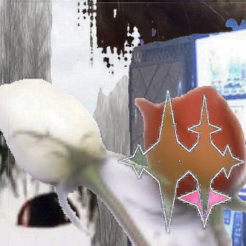 CHAPMANFIRE (endlessfly)