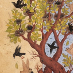 Fables (2021-2024)-Ashkan Behzadi