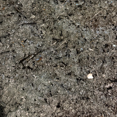 from a distance
