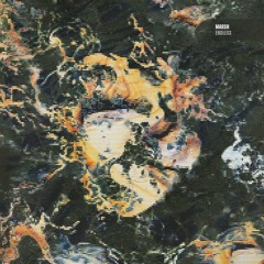 Marsh - Endless