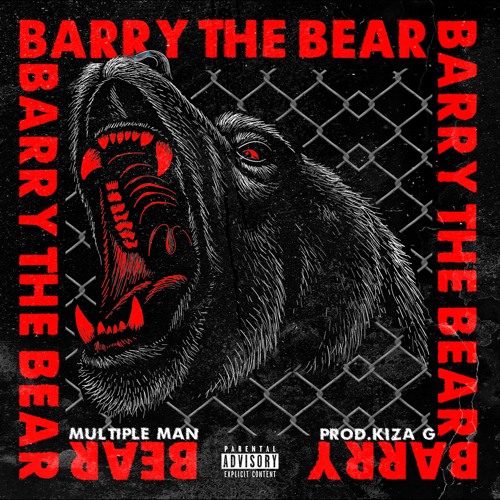 Barry The Bear