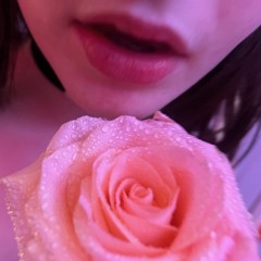 damn navy (voice memo)