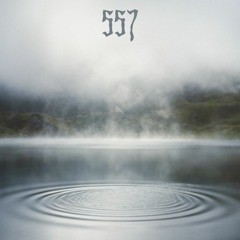 Ambient Bite 557