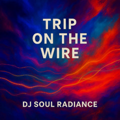 Trip On The Wire