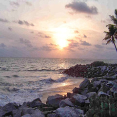 beach north