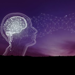 Tricky Brain