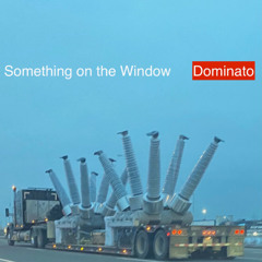 Something on the Window